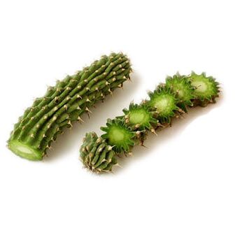 hoodia gordonia - състав Reduslim