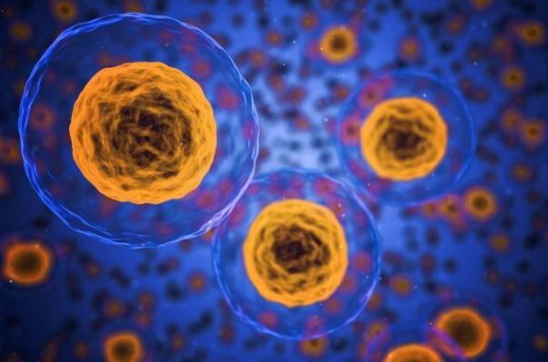 Как протича процесът на отслабване